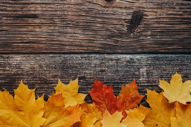 Texture de planches avec un fond de feuilles d'érable automne orange