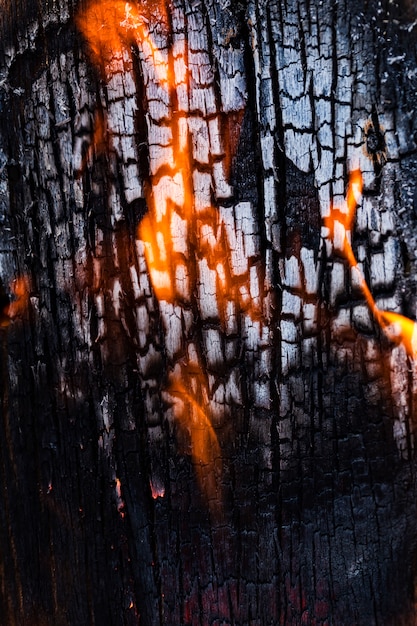 Texture De La Plaque De Bois Gros Plan, Lors De La Combustion De Tir.