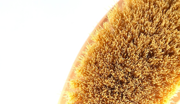 Texture de poils en gros plan de la vue de dessus de brosse de massage naturel isolé sur fond blanc