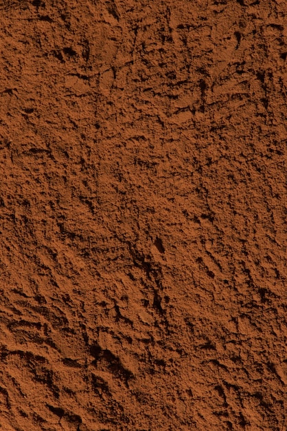 Texture de poudre de cacao cru