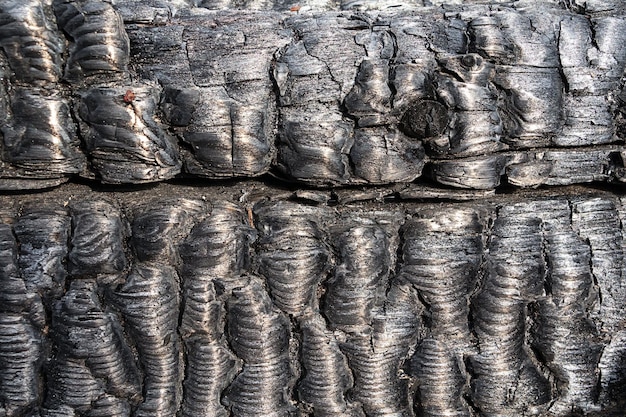 La texture d'une poutre en bois après un incendie