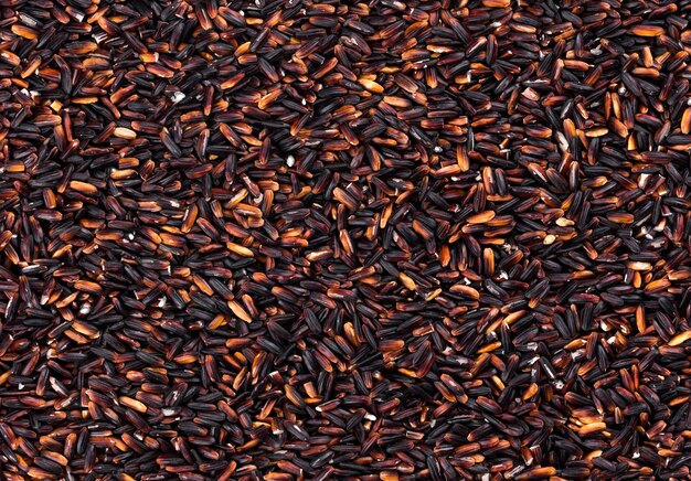 Texture de riz noir