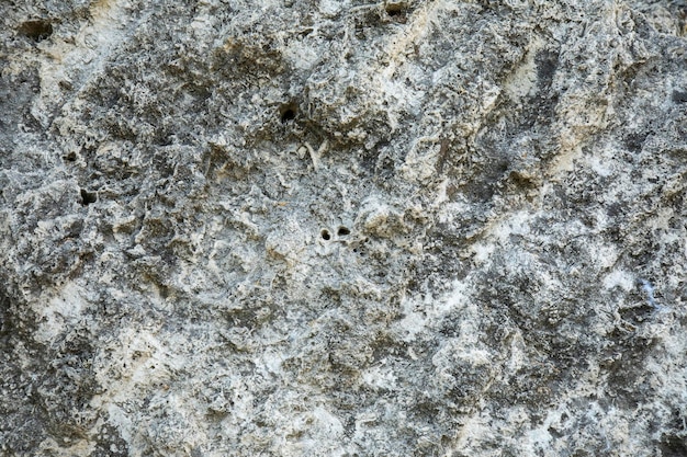 Texture de la roche se bouchent