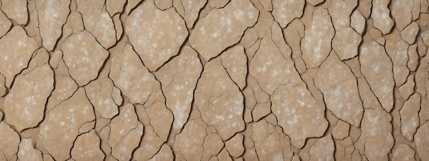 Texture rocheuse avec fissures en gros plan Surface rugueuse de la montagne Fond de granit de pierre pour la conception