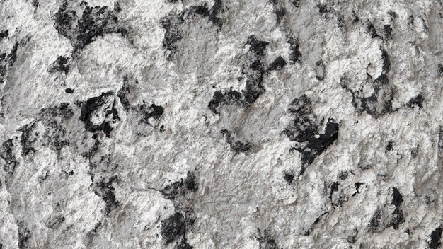 Texture rugueuse grise et noire