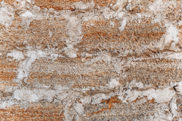 Texture rugueuse d'un mur de briques fait d'apparence texturée de coquillages