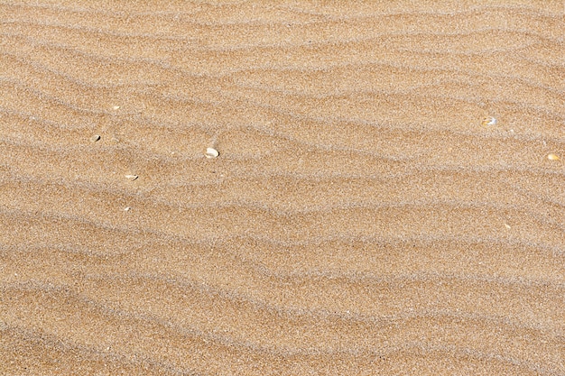 Texture de sable de couleur rouge avec un motif en forme de bœuf au bord de la mer. Fond de concept, texture