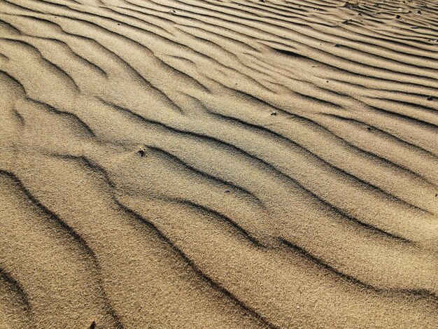 Texture de sable naturel