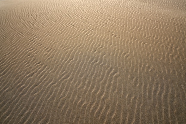 Texture de sable de la plage des dunes sur la Costa Dorada