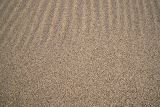 Texture de sable sable ondulé fond texturé sable plage texturée