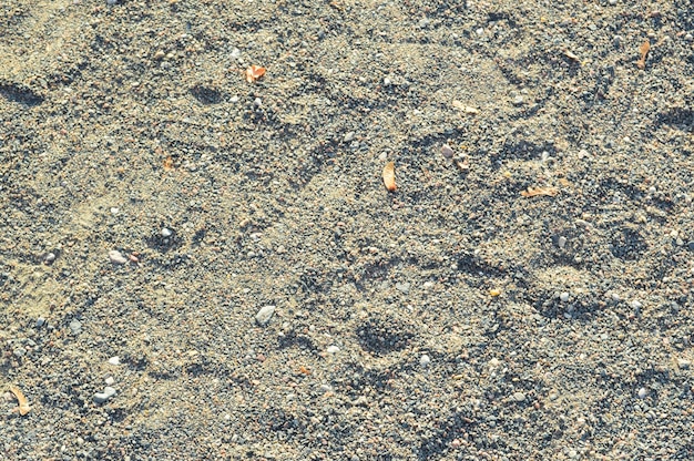 Texture de sable de terre sèche grise avec de gros cailloux L'arrière-plan