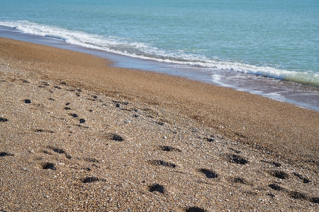 Texture de sable et de vagues