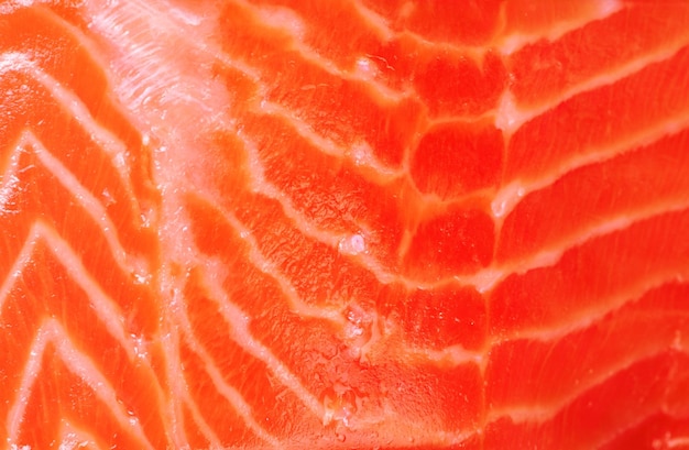 Texture saumon poisson