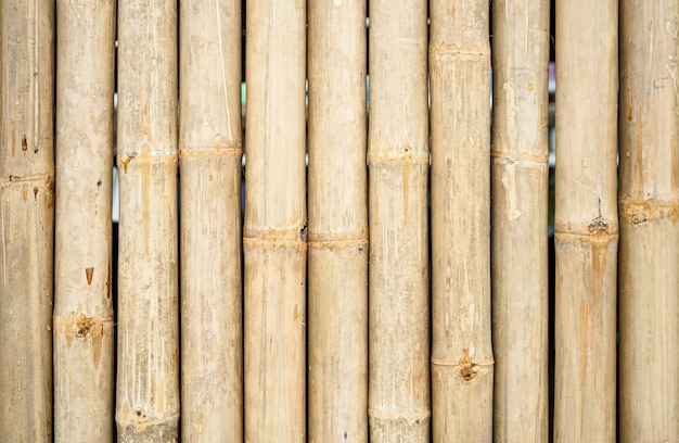 La texture sèche de la clôture en bambou peut être utilisée comme arrière-plan