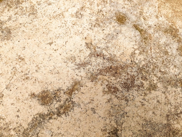 Texture de sol de fond de pierre