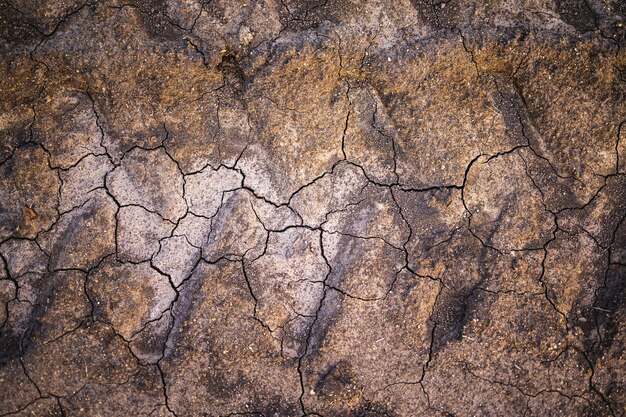 texture de sol sec cassé avec des traces de tracteur