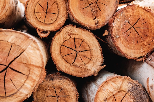 La texture de la table de l'arbre coupé