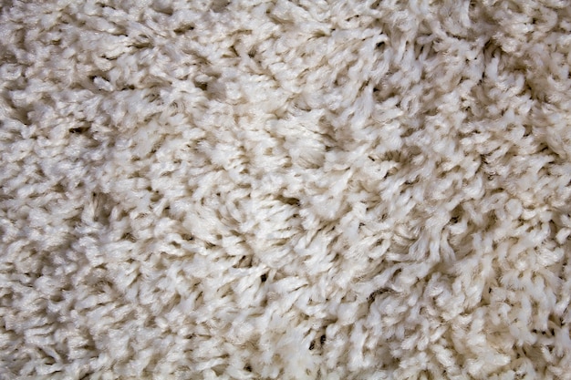 Texture de tapis, sieste