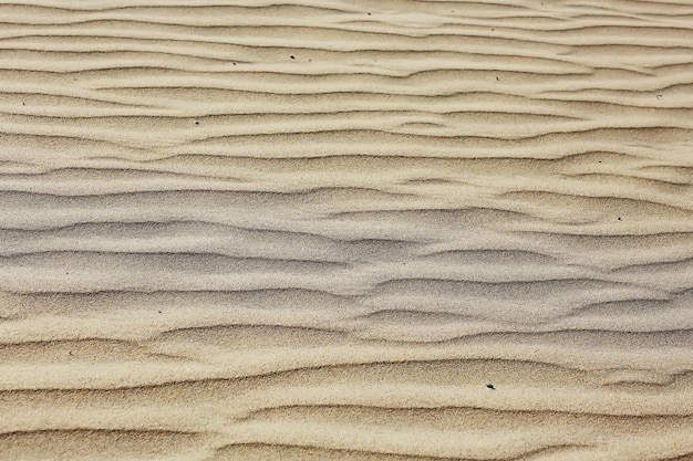 texture terre désertique dunes de sable barkhans, déserts