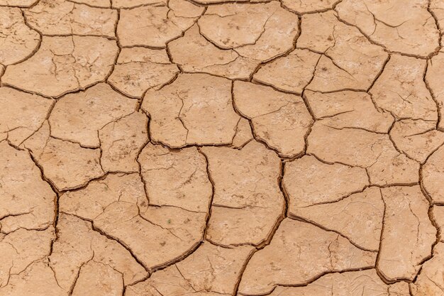 Texture de terre fissurée sèche