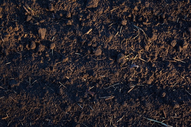 Texture de terre noire digérée, fond de terre brune.