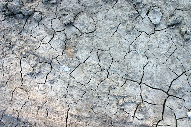 Texture de terre sèche et fissurée.