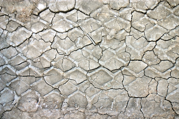 Texture de terre sèche et fissurée.