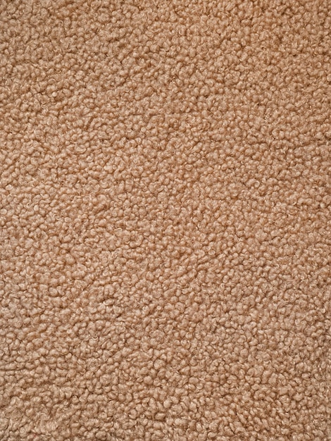 Texture de tissu de manteau de fourrure d'ours en peluche