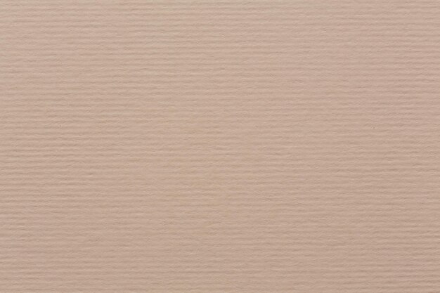 Texture de toile beige clair avec fond subtil de vignette