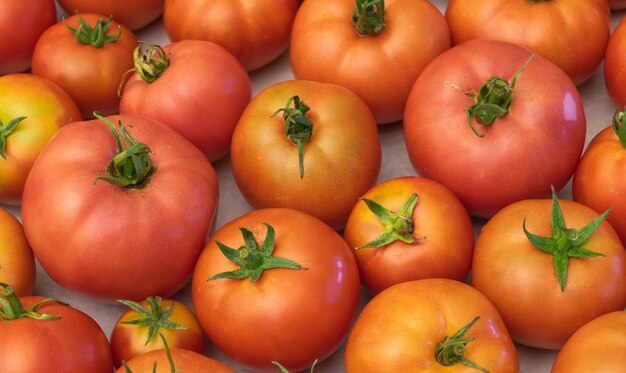 Texture de tomates biologiques et savoureuses cultivées à la maison en gros plan Avantages du concept de tomates