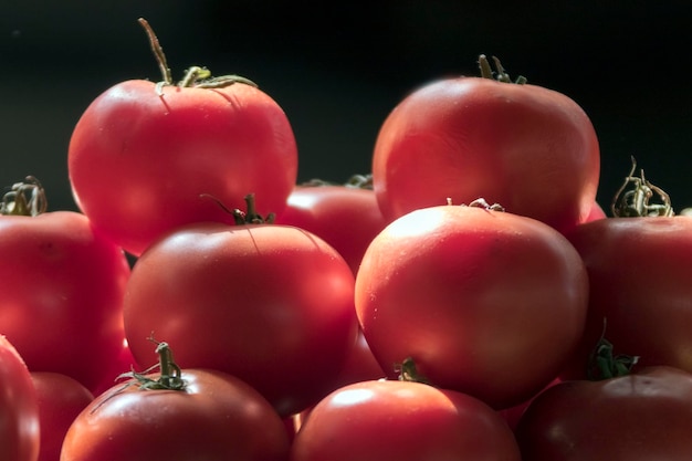 Texture de tomates