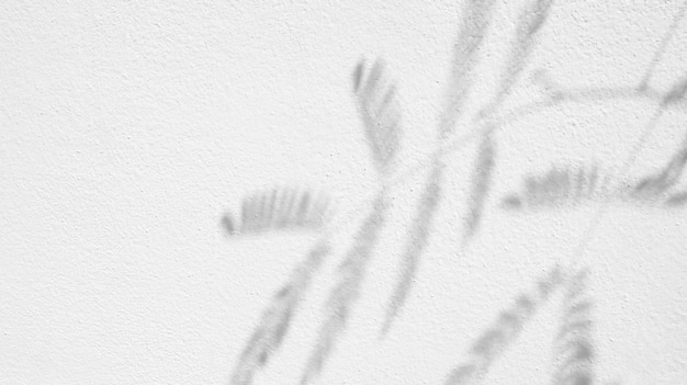 Texture transparente du mur de ciment blanc une surface rugueuse et une ombre de feuille avec un espace pour le texte pour un backgroundx9
