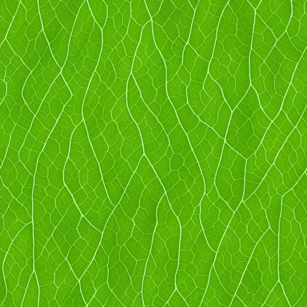 Texture transparente et structure de la feuille verte Art numérique