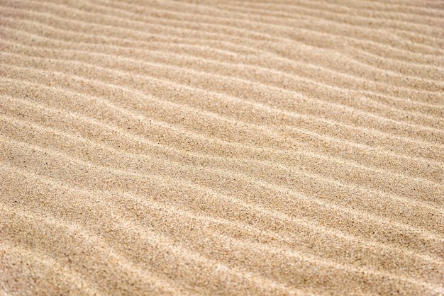 La texture des vagues de sable