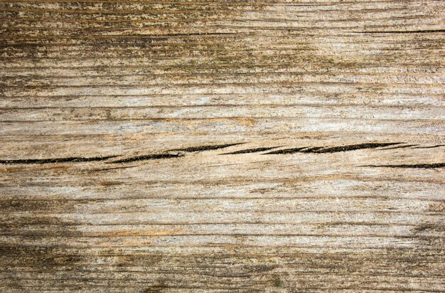 Texture de vieux bois sec naturelfond de bois foncéGrunge fibre de bois