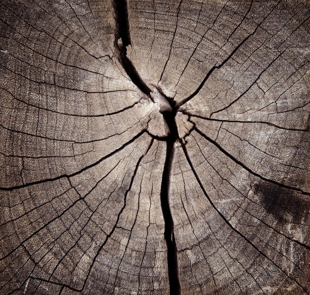 texture vieux fond en bois dans les fissures