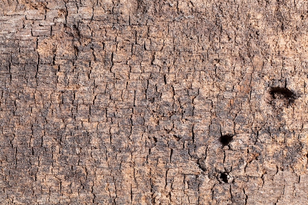 Texture vieux fond de bois.