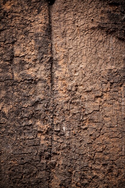 Texture vieux fond de bois.