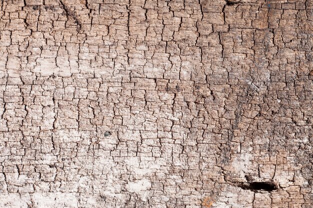 Texture vieux fond de bois.