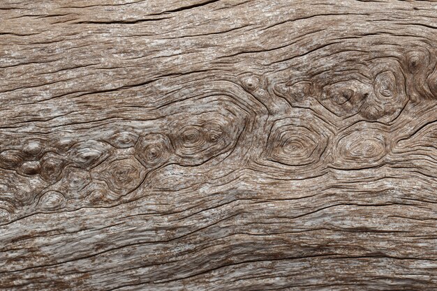 Texture de vieux fond naturel en bois