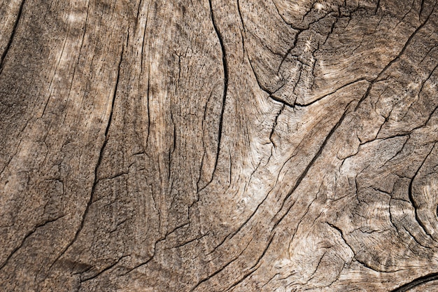 Texture de vieux fond naturel en bois