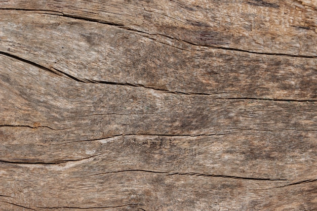 Texture de vieux fond naturel en bois