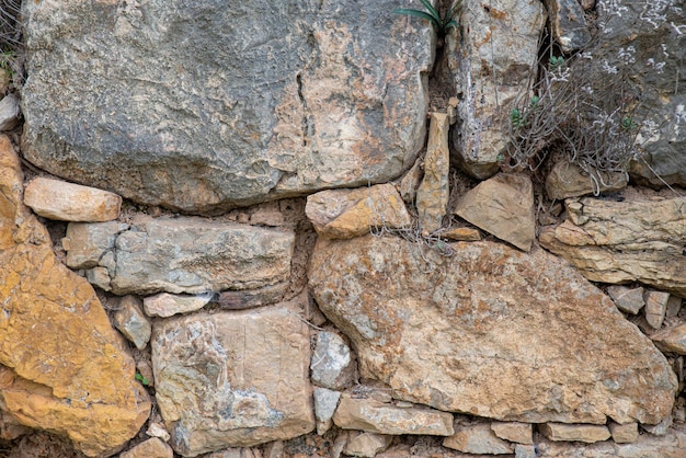 Texture d'un vieux mur de pierre avec des tiges sèches dessus