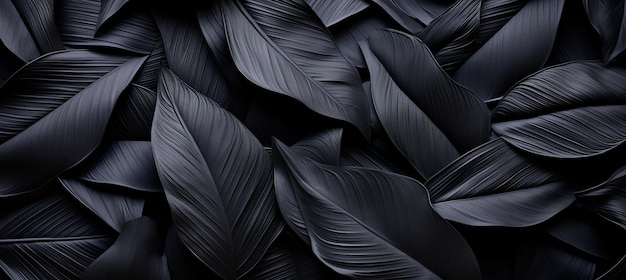 Textures de feuilles noires abstraites pour fond de feuilles tropicales concept de nature sombre à plat