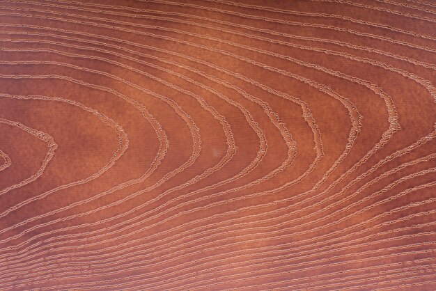 Photo textures de milieux en bois vintage