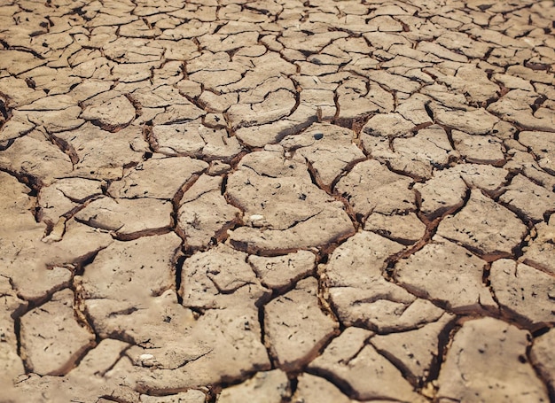 textures de terre sèche