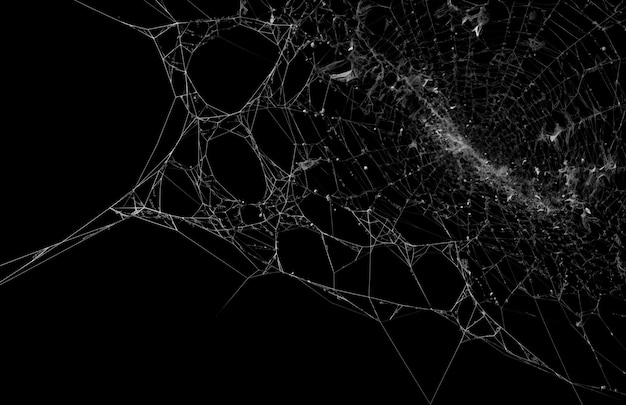 Les textures de la toile d'araignée Modifier les graphiques libérer la créativité avec des images captivantes