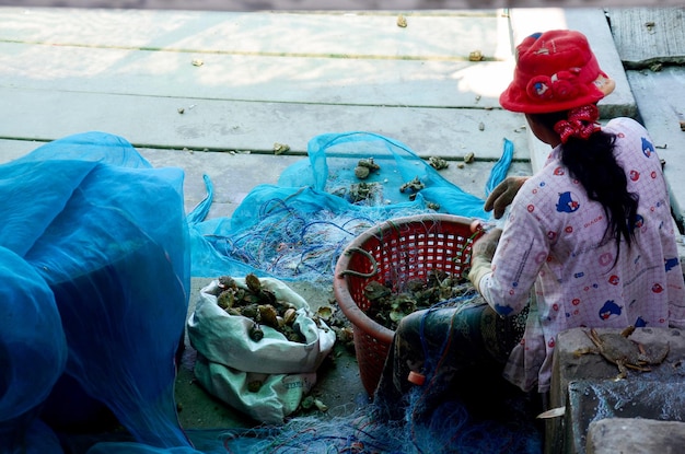 Les Thaïlandais qui travaillent tirent et sélectionnent des crustacés dans des filets de pêche au village de pêcheurs