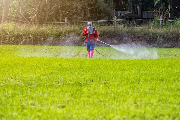 Thaïlande Man farmer pour pulvériser des herbicides ou des engrais chimiques.