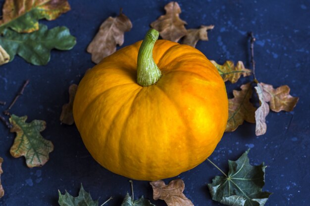 Thanksgiving D'automne Et Citrouille D'halloween Avec Des Feuilles Sèches Sur Un Fond Sombre